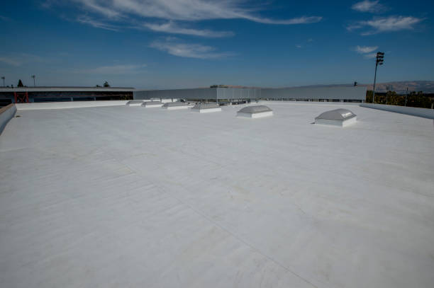 Best Asphalt Shingle Roofing  in Dolan Springs, AZ