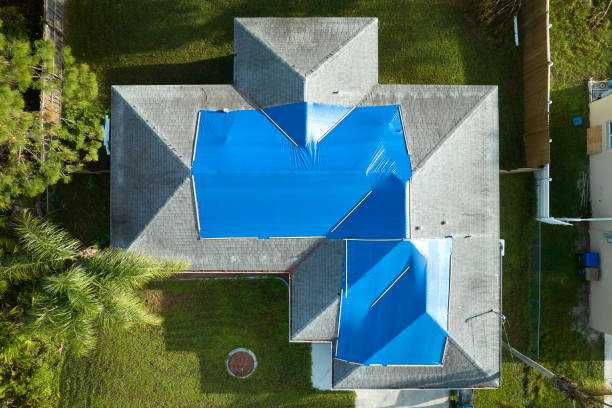 Best Asphalt Shingles Roofing  in Dolan Springs, AZ