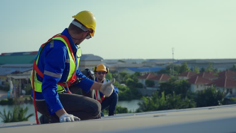 Best Roof Insulation Installation  in Dolan Springs, AZ