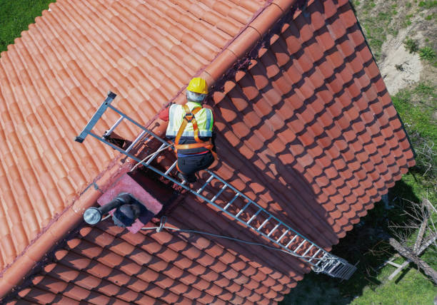 Best Storm Damage Roof Repair  in Dolan Springs, AZ