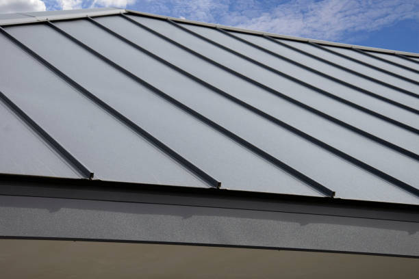 Best Chimney Flashing Repair  in Dolan Springs, AZ